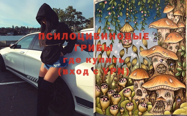 бошки Осташков