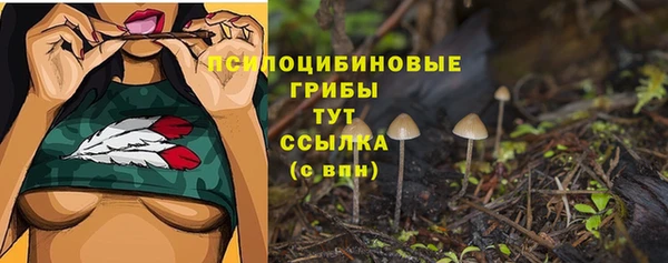 бошки Осташков