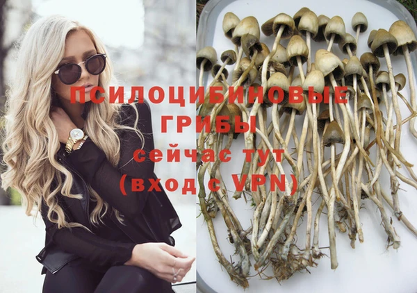 бошки Осинники