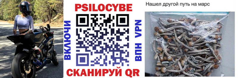 Псилоцибиновые грибы прущие грибы  Купить закладки  Балаково 