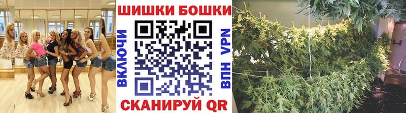 Купить где  Балаково  Бошки Шишки планчик 